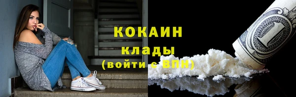 spice Алексин