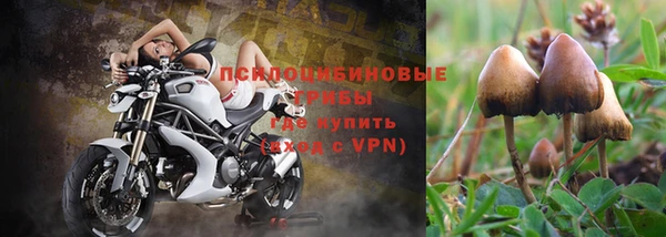 spice Алексин