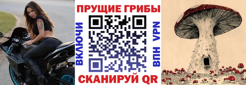 Псилоцибиновые грибы прущие грибы  Купить где  Николаевск 